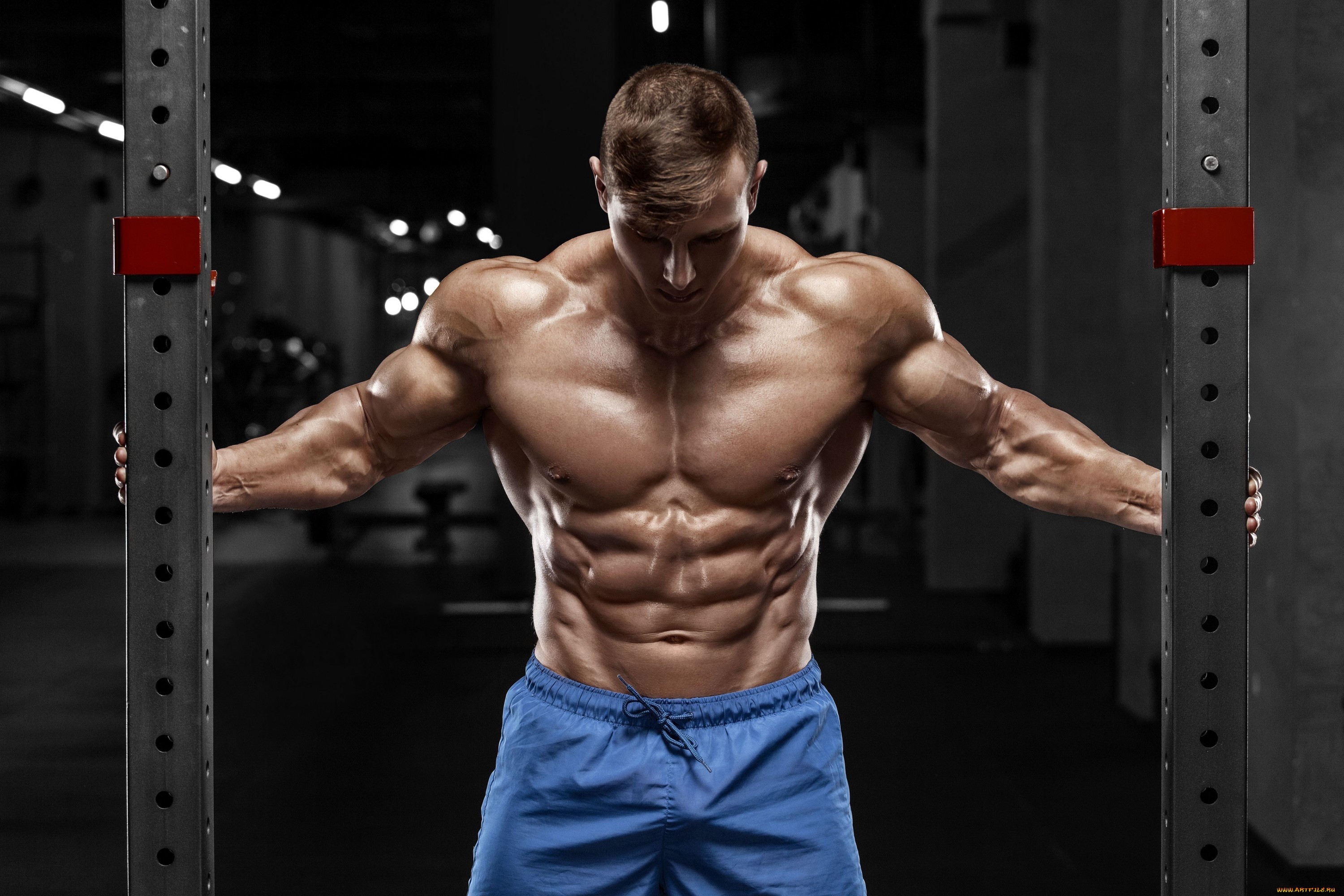 , body building, , , , , 